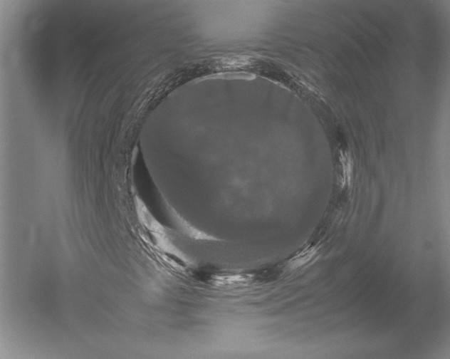 X0000052631441200507081927
