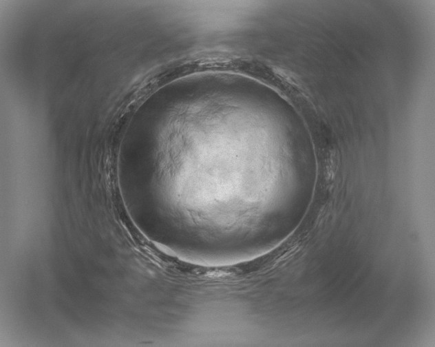 X0000052631445200507081927