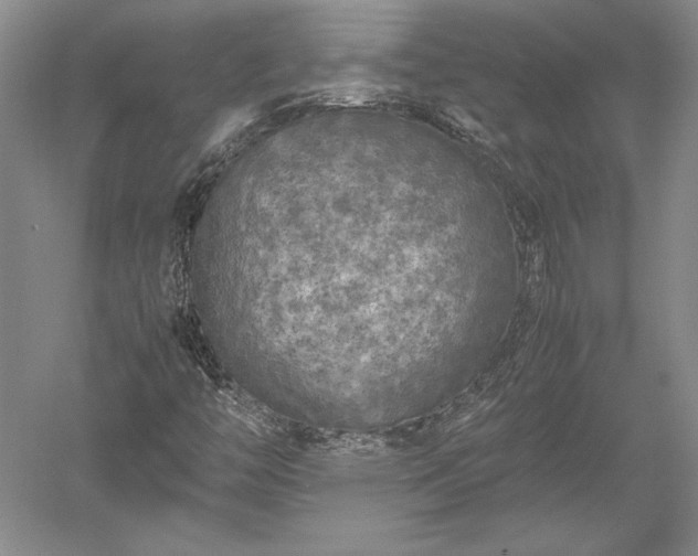 X0000052631446200507081927