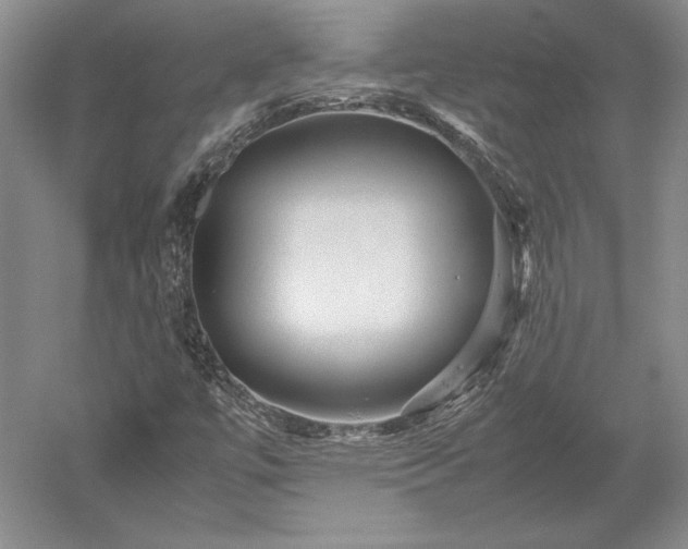 X0000052631447200507081927