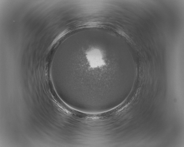 X0000052631450200507081927