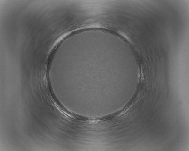 X0000052631452200507081927