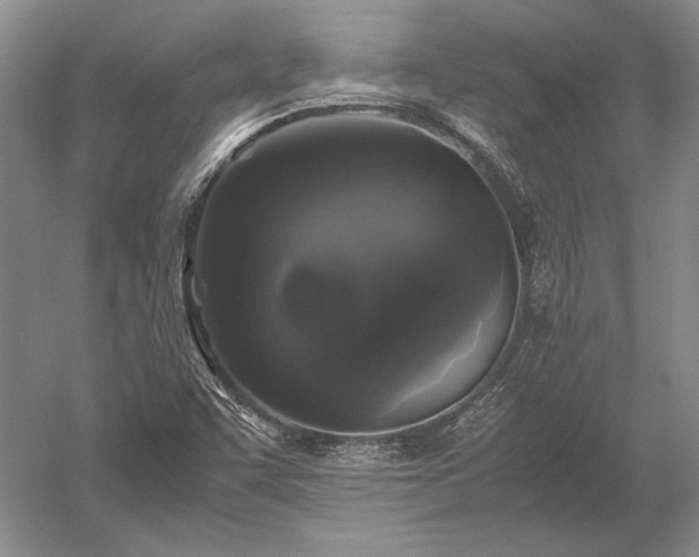 X0000052631455200507081927