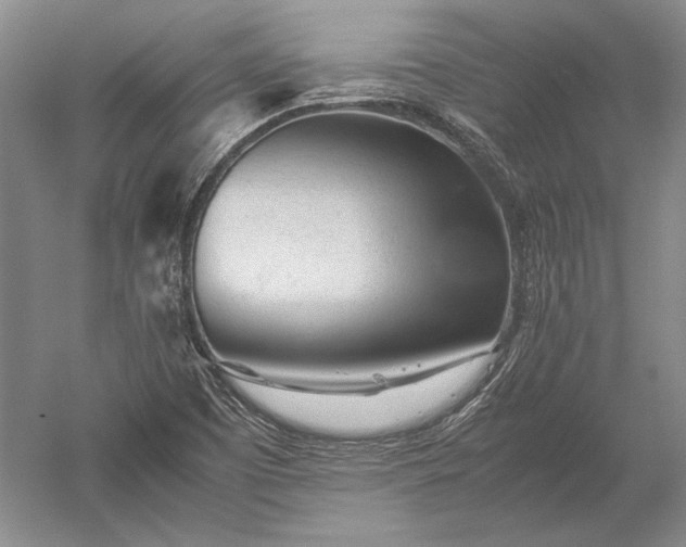 X0000052631457200507081927