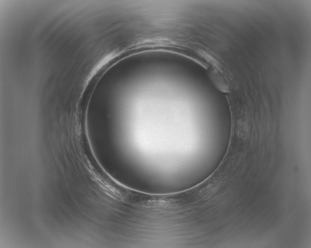 X0000052631458200507081927