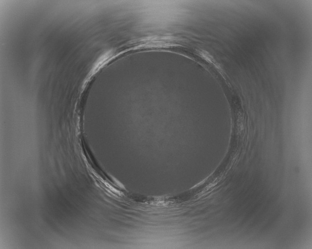 X0000052631459200507081927