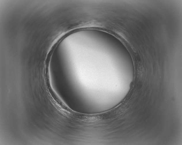 X0000052631460200507081927