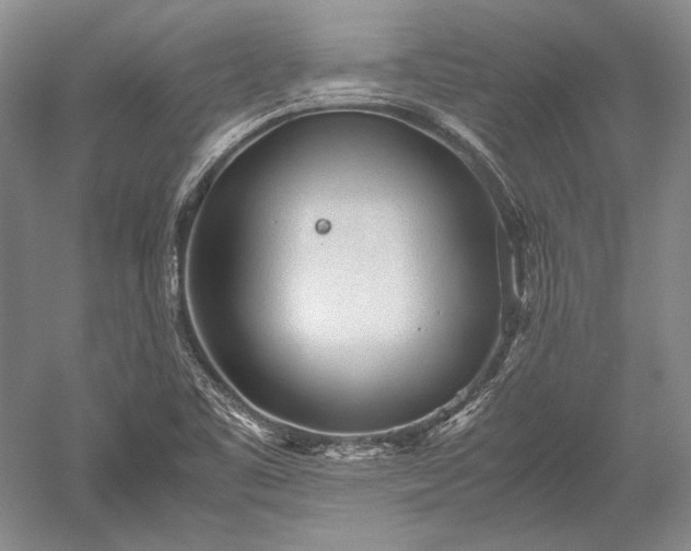 X0000052631461200507081927