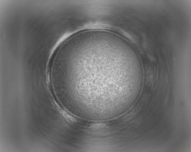 X0000052631462200507081927