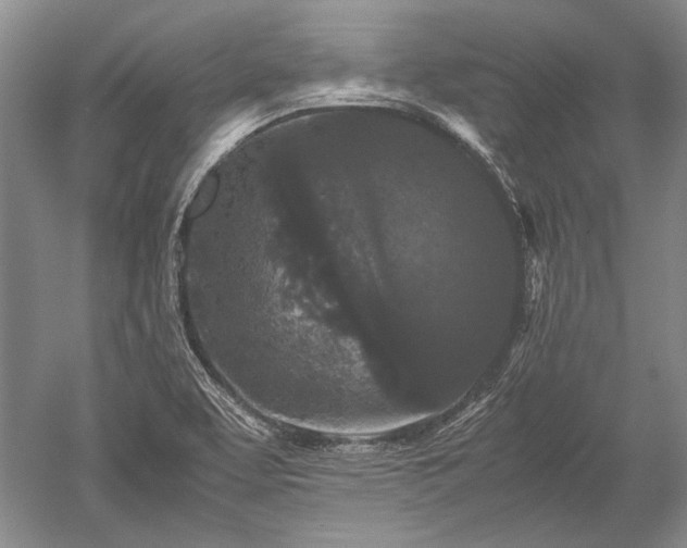 X0000052631463200507081927