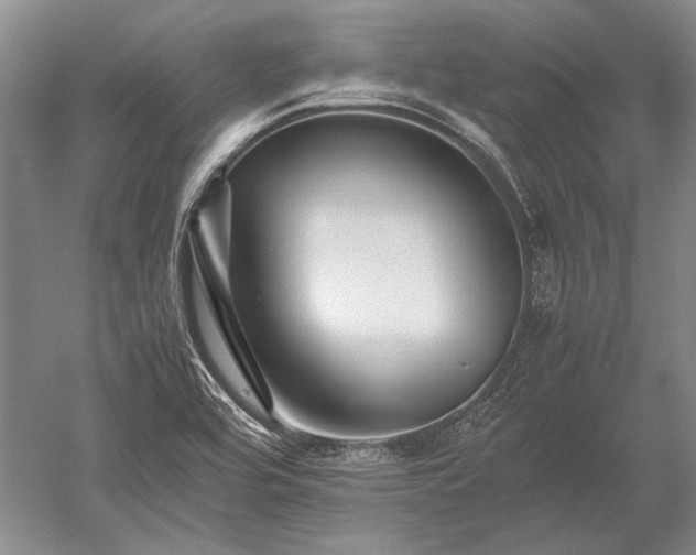 X0000052631464200507081927