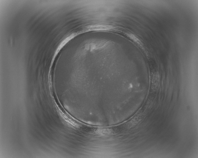 X0000052631466200507081927