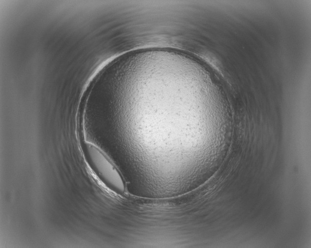 X0000052631468200507081927