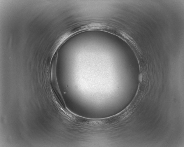 X0000052631473200507081926