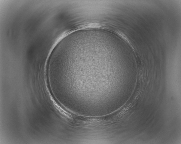 X0000052631475200507081926