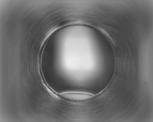 X0000052631476200507081926