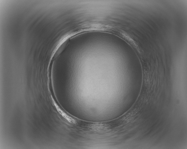 X0000052631479200507081926