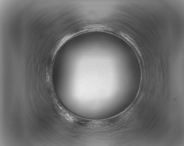 X0000052631481200507081926