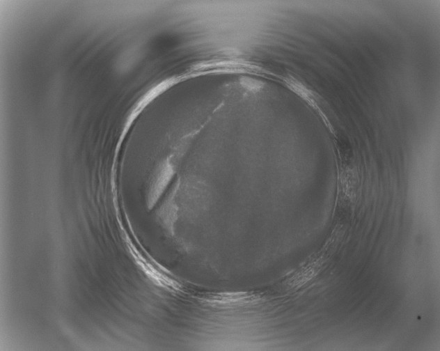 X0000052631482200507081926