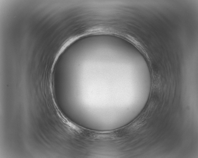 X0000052631486200507081926