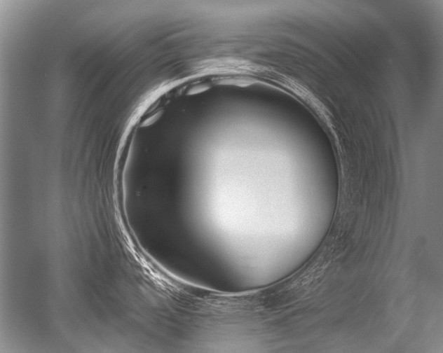X0000052631488200507081926