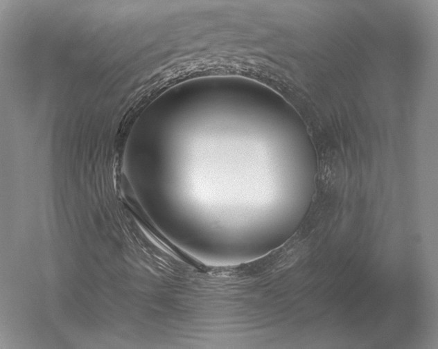 X0000052631490200507081925