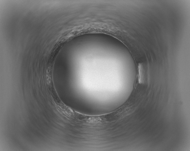 X0000052631491200507081925