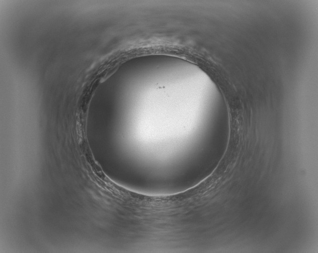 X0000052631493200507081925