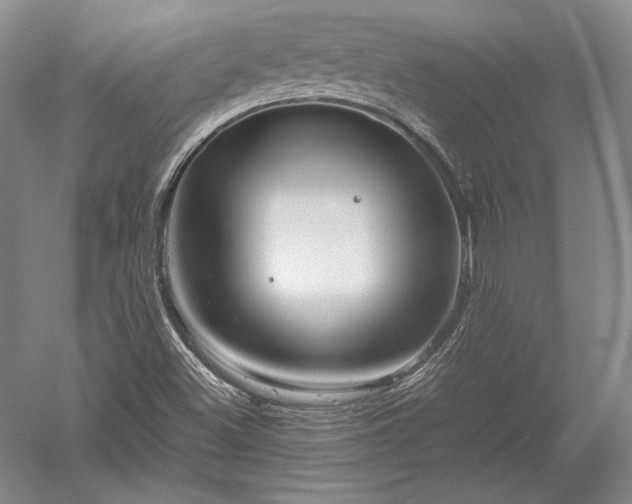 X0000052631500200507081926
