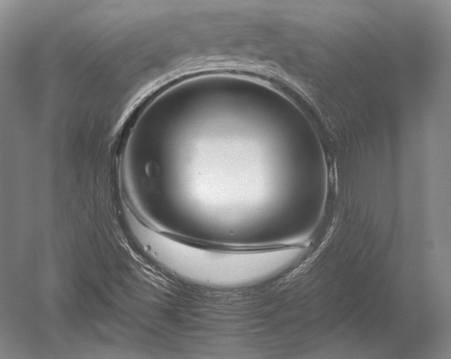 X0000052631501200507081926