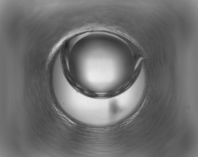 X0000052631502200507081926
