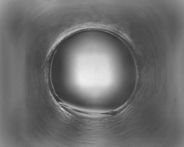 X0000052631504200507081926