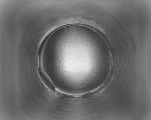X0000052631509200507081926