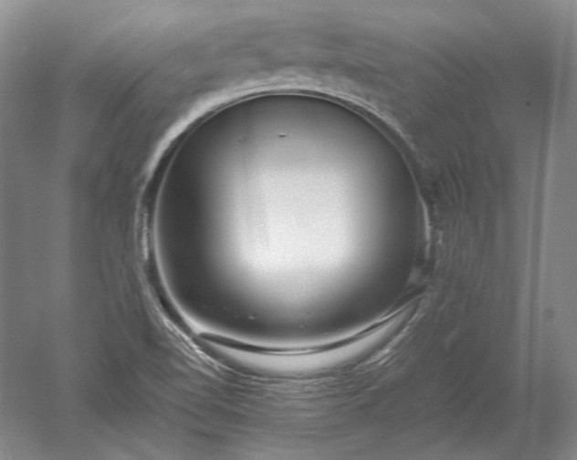 X0000052631510200507081926