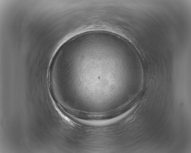 X0000052631519200507081926