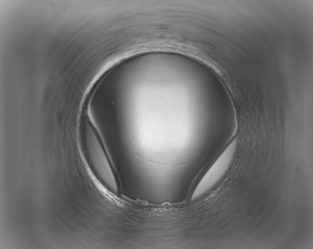 X0000052631523200507081926