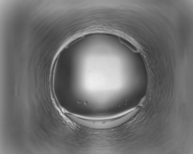 X0000052631536200507081926