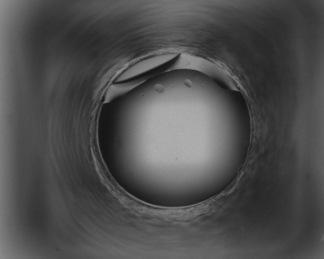 X0000052630001200507160143