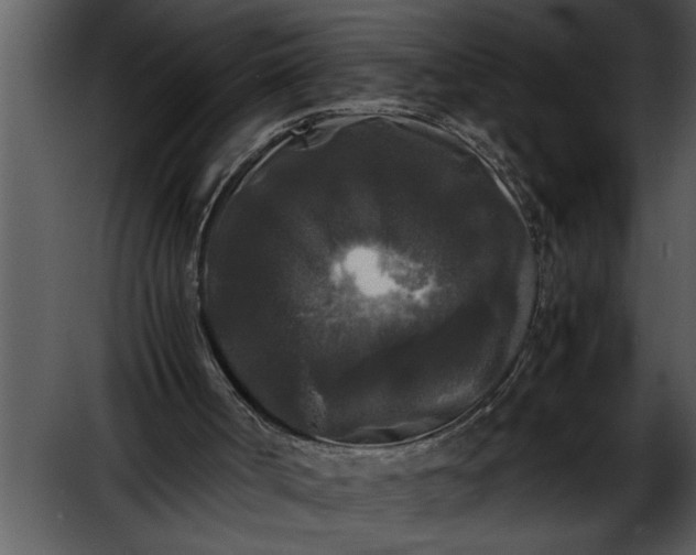 X0000052630002200507160143