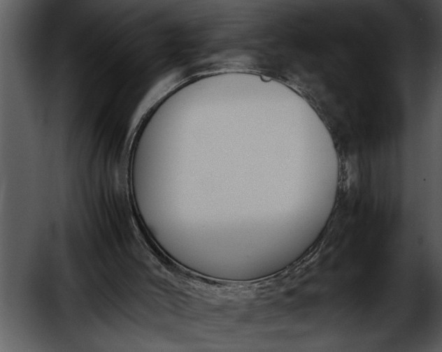 X0000052630004200507160143