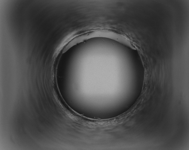 X0000052630005200507160143