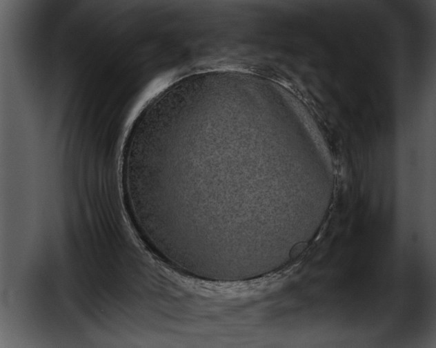 X0000052630006200507160143