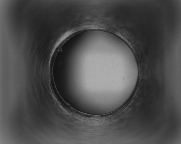 X0000052630008200507160143