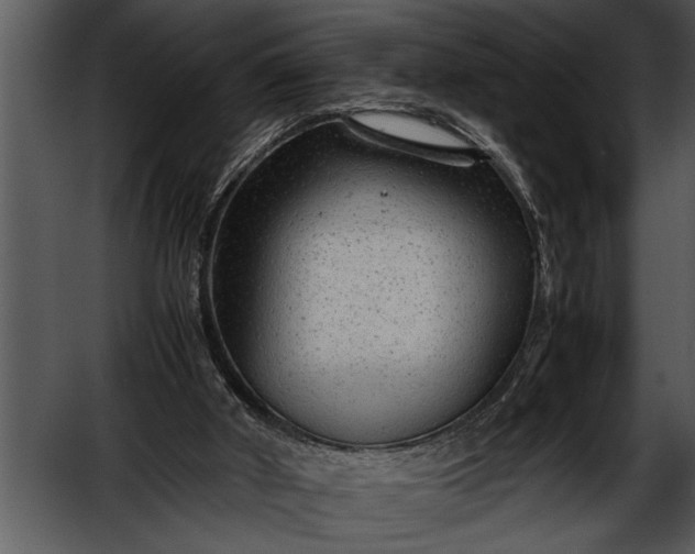 X0000052630010200507160142