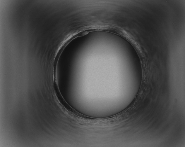 X0000052630011200507160142