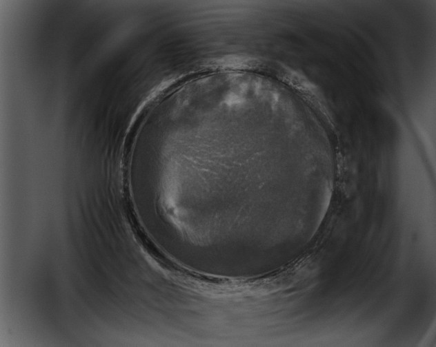 X0000052630012200507160142