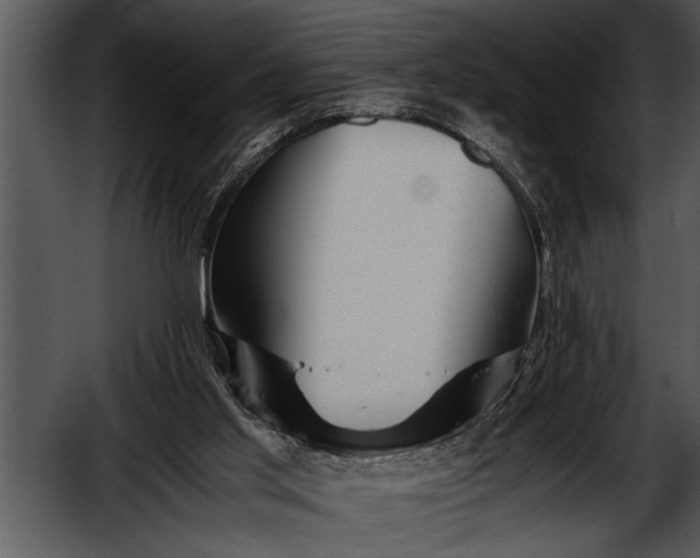 X0000052630013200507160142