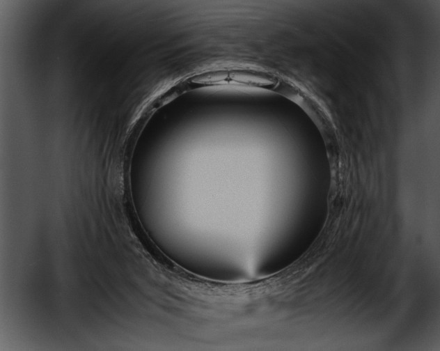 X0000052630015200507160142