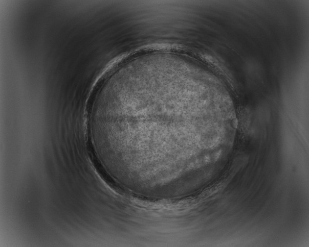 X0000052630016200507160142