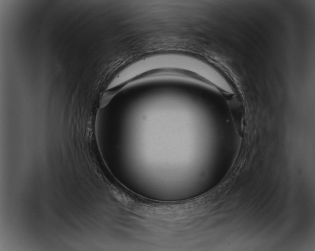 X0000052630017200507160142